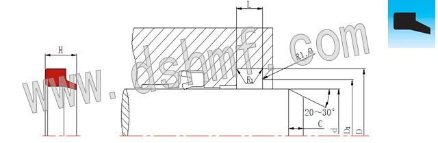 防塵圈Scrapers-DAI截面結(jié)構(gòu)設(shè)計圖.jpg