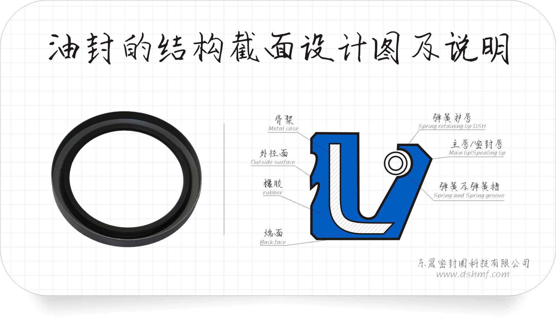 油封的結構截面設計圖及說明 油封的結構截面設計圖及說明