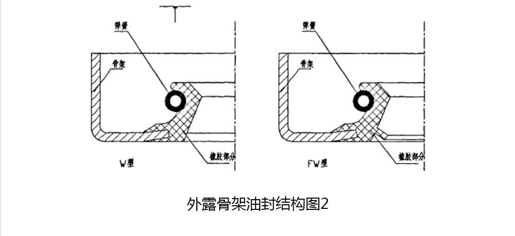 外露骨架油封結(jié)構(gòu)圖