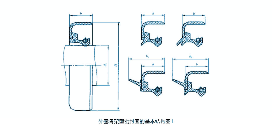外露骨架油封結構圖