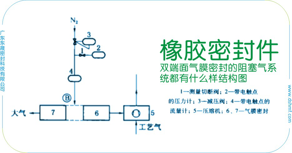 橡膠密封圈之雙端面油封密封件的阻塞氣系統都有什么樣結構圖