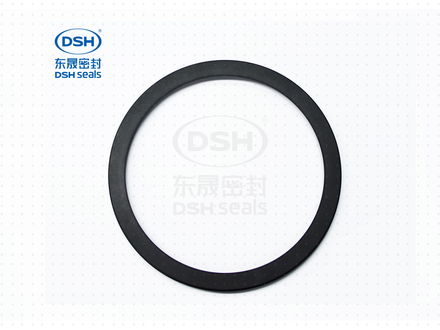 泛塞密封圈  泛塞密封圈（泛塞封密封圈） - 密封圈，泛塞封應(yīng)用！怕漏洞，裝東晟油封！
