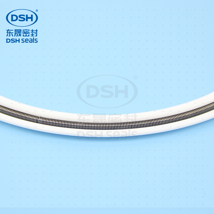彈簧四氟密封環密封件
