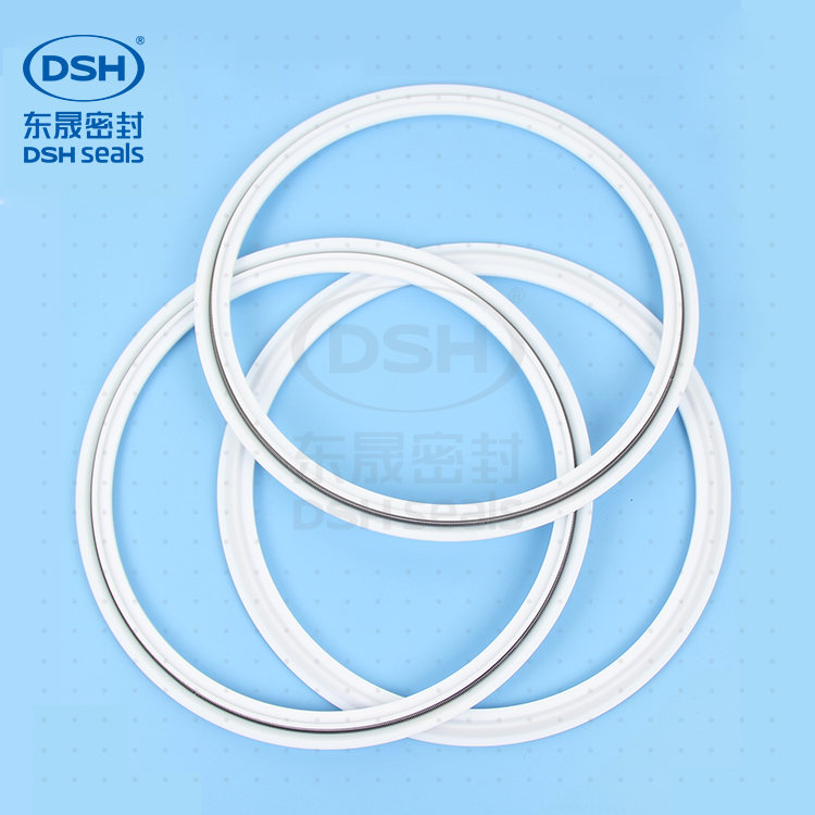彈簧四氟密封環密封件