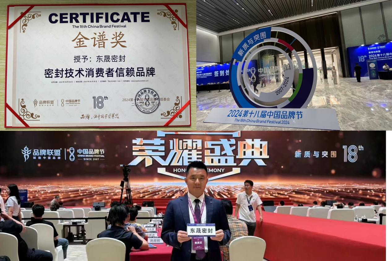 3東晟密封件閃耀2024第十八屆中國品牌節，榮獲密封技術“金譜獎”
