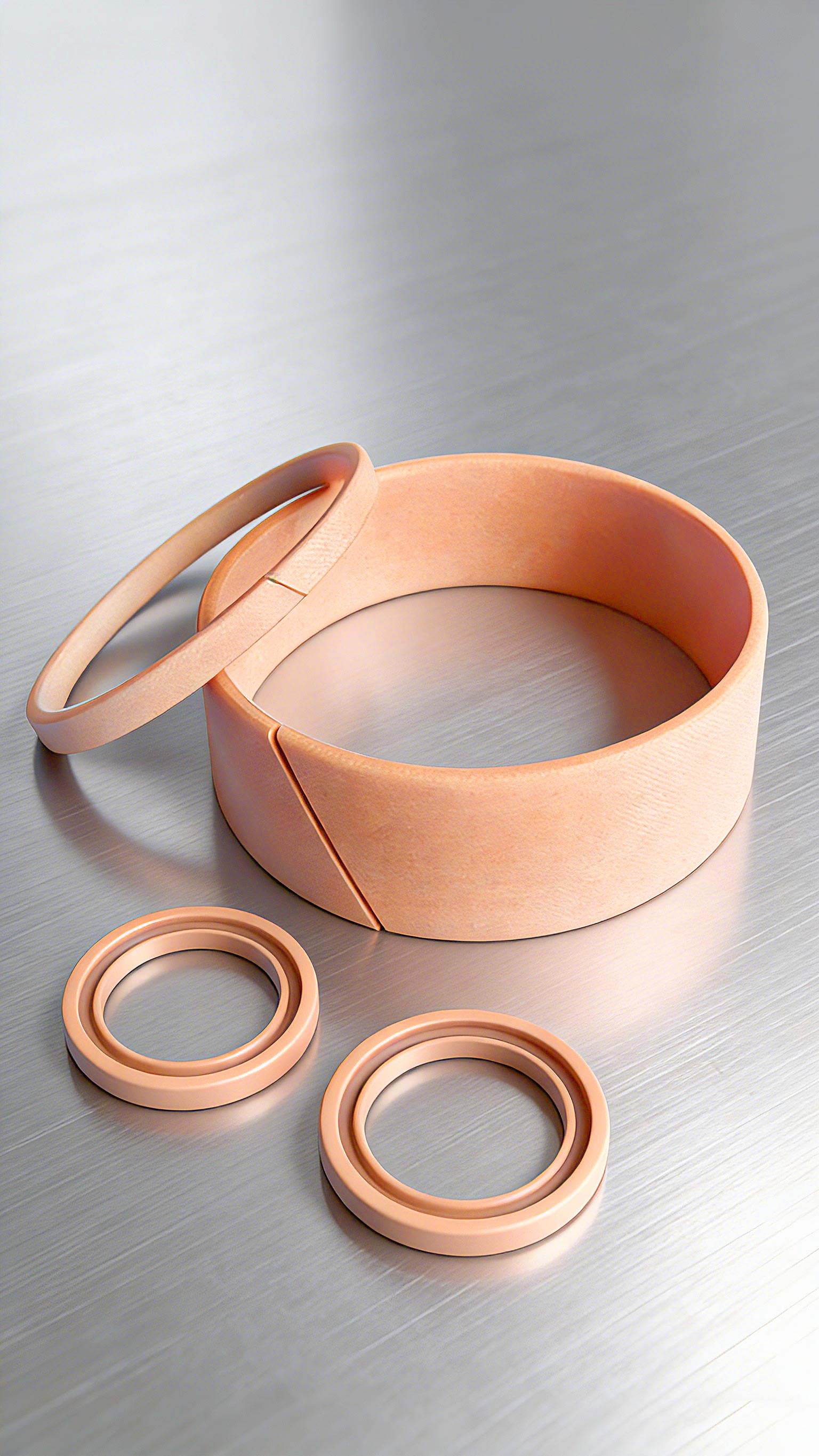 導(dǎo)向環(huán)DST3-2000 (2)