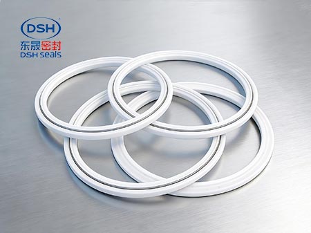 彈簧四氟密封環密封件450