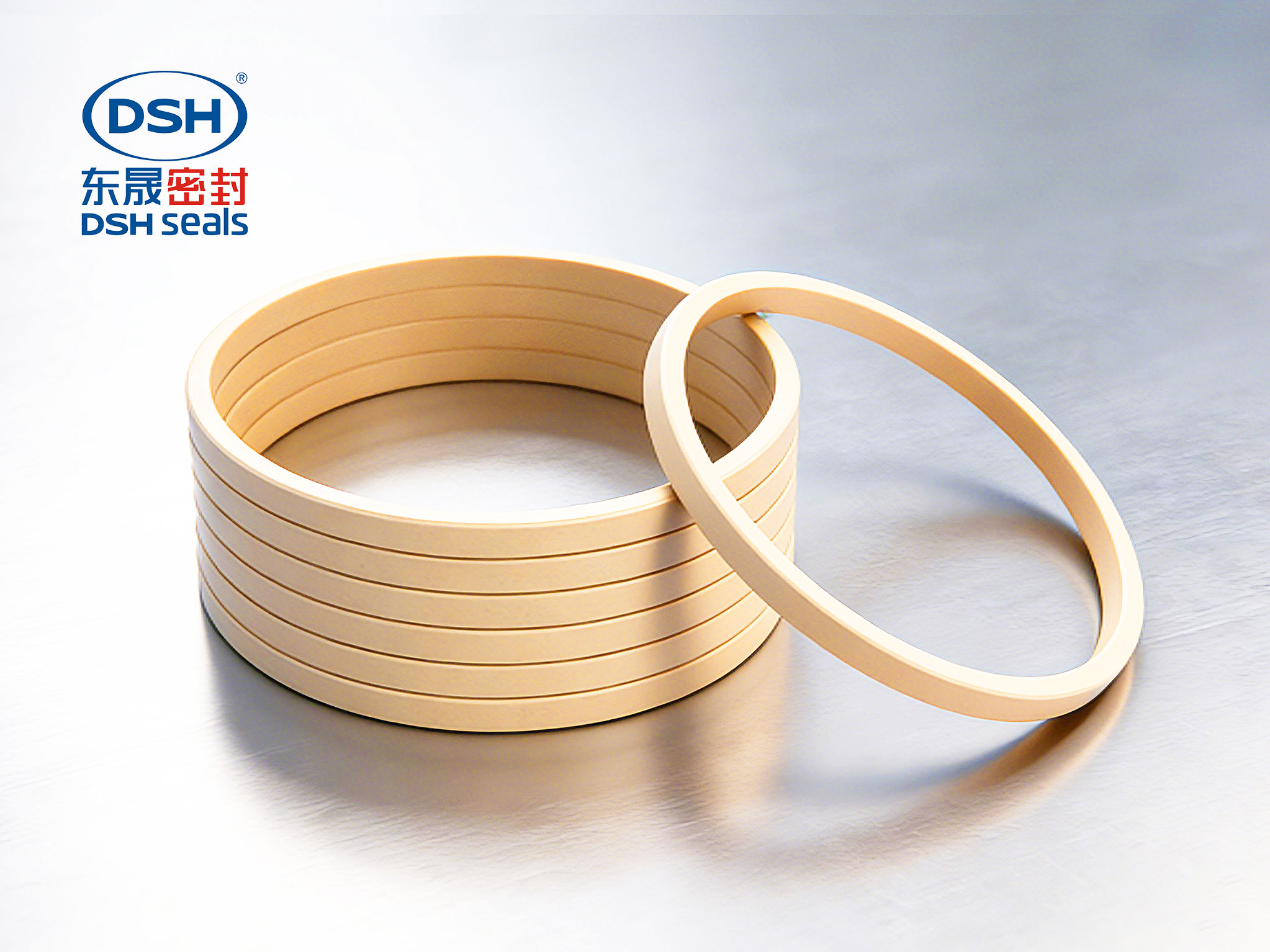 孔用格萊圈密封件450