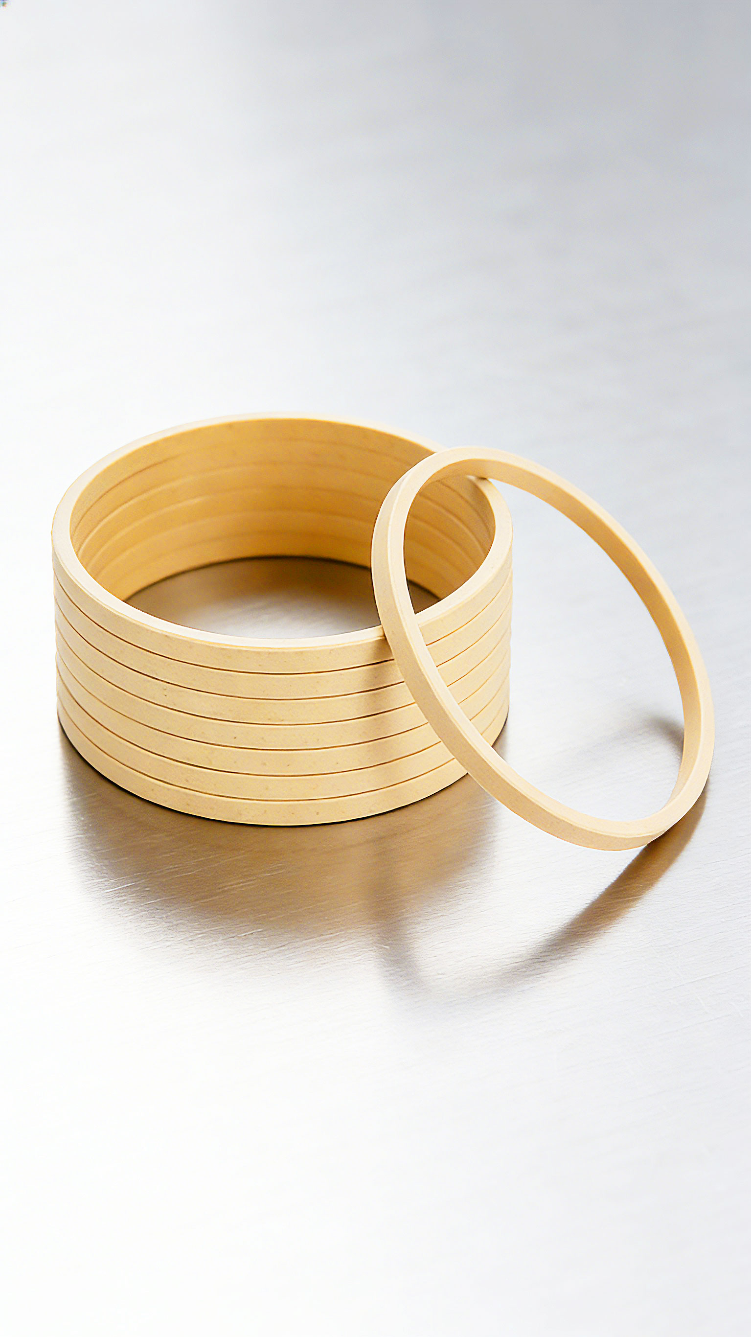 孔用格萊圈密封件DSF (2)