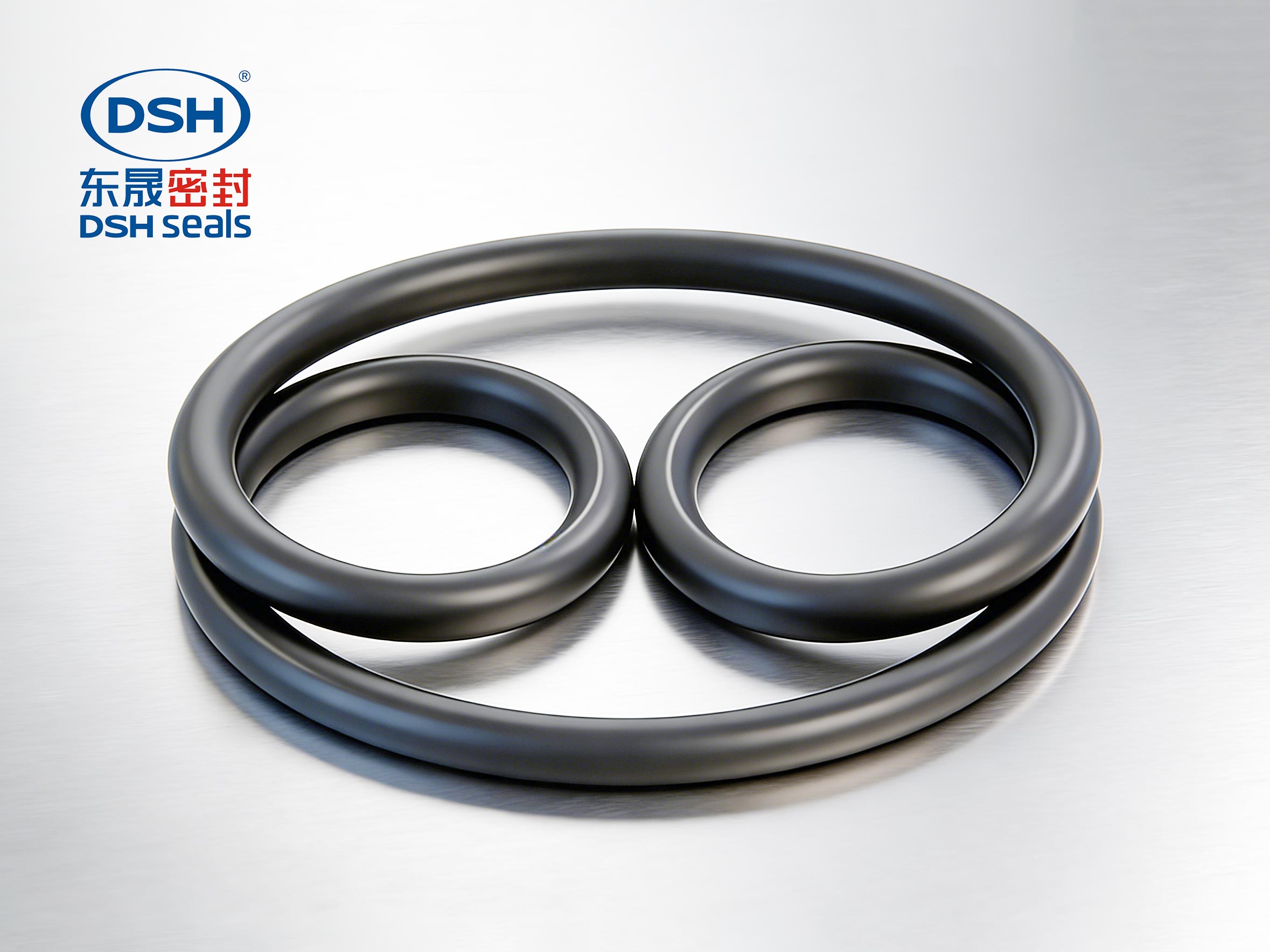 氟橡膠O型密封圈450