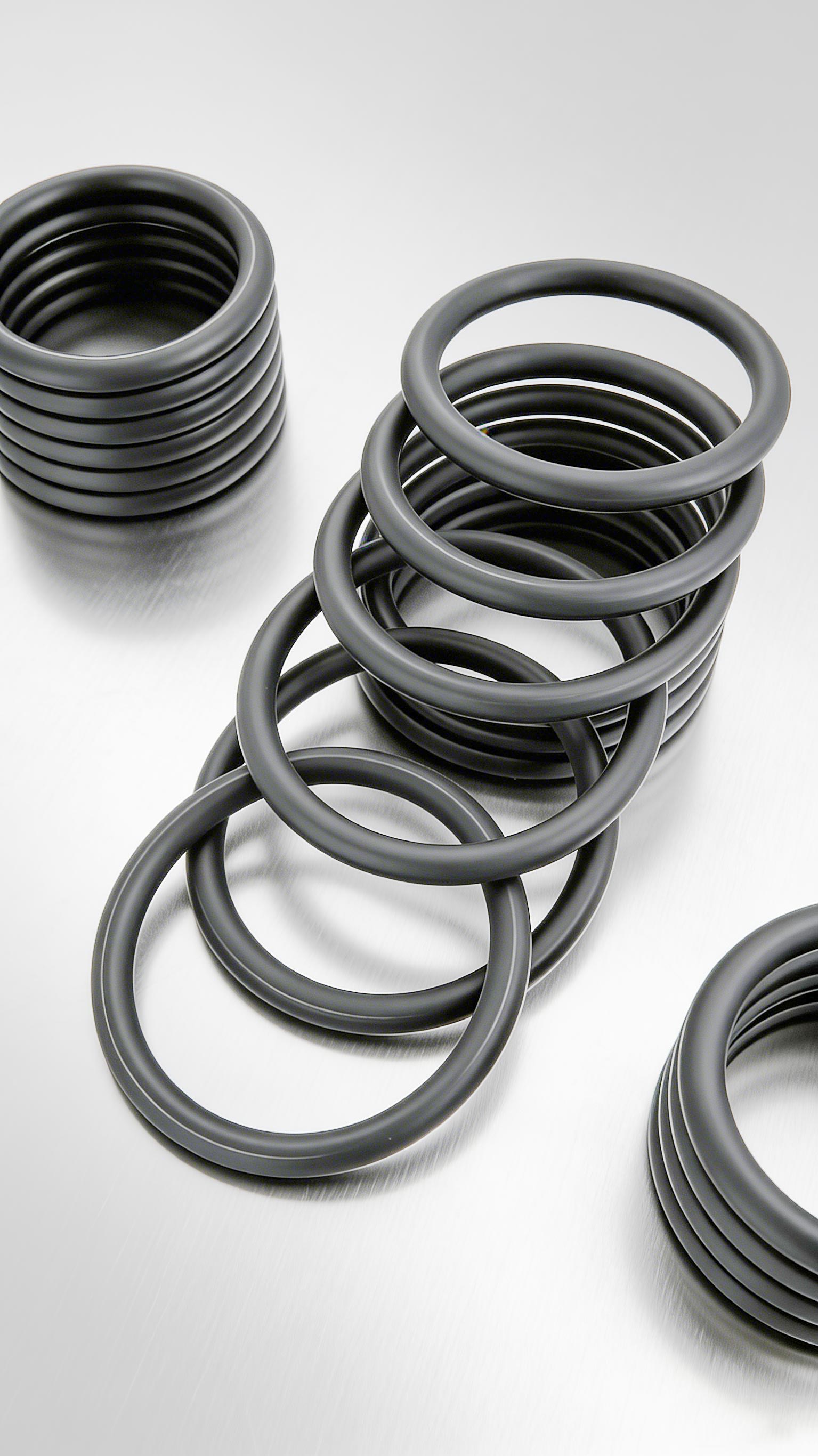 氟橡膠O型密封圈