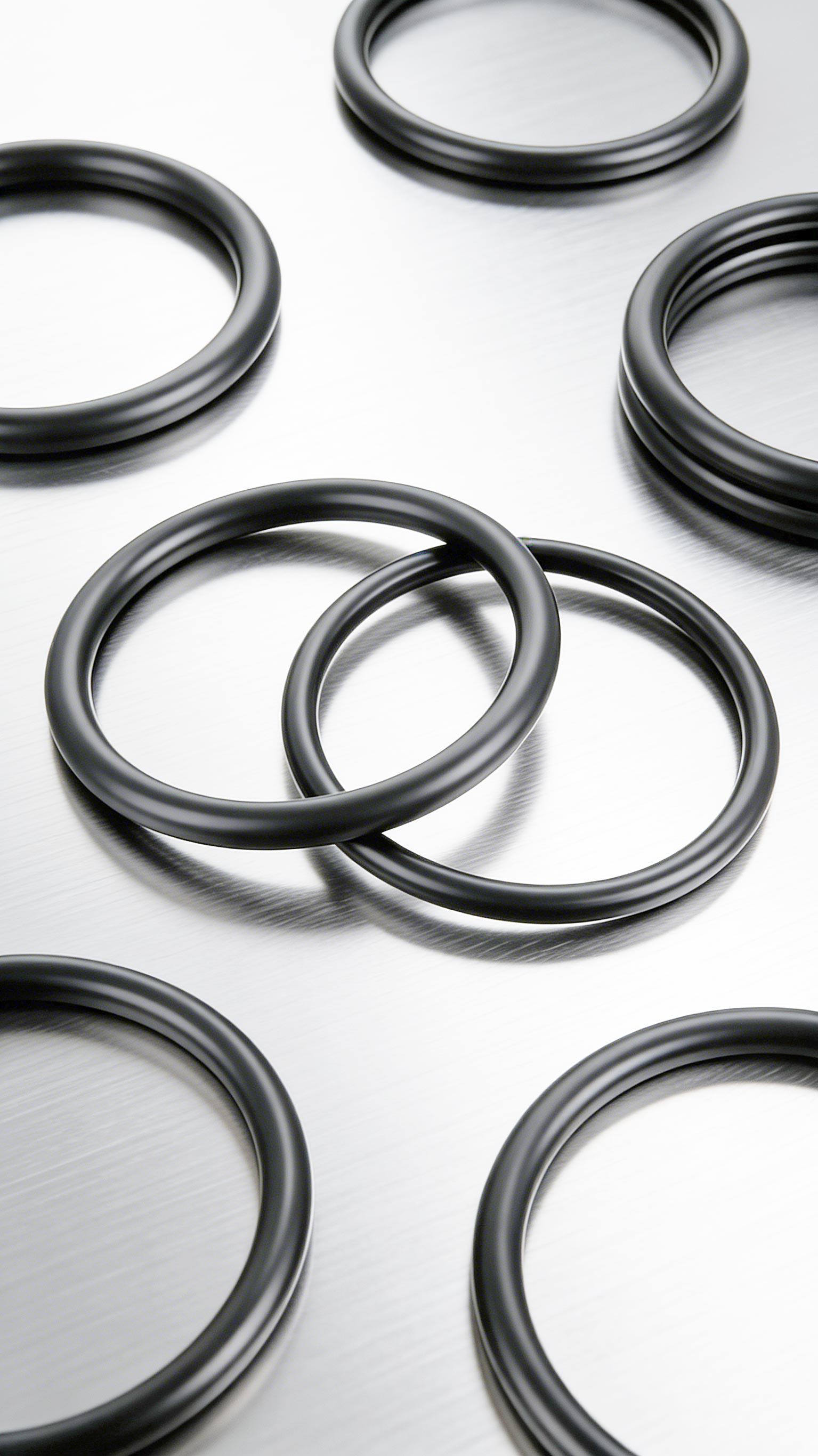 氟橡膠O型密封圈