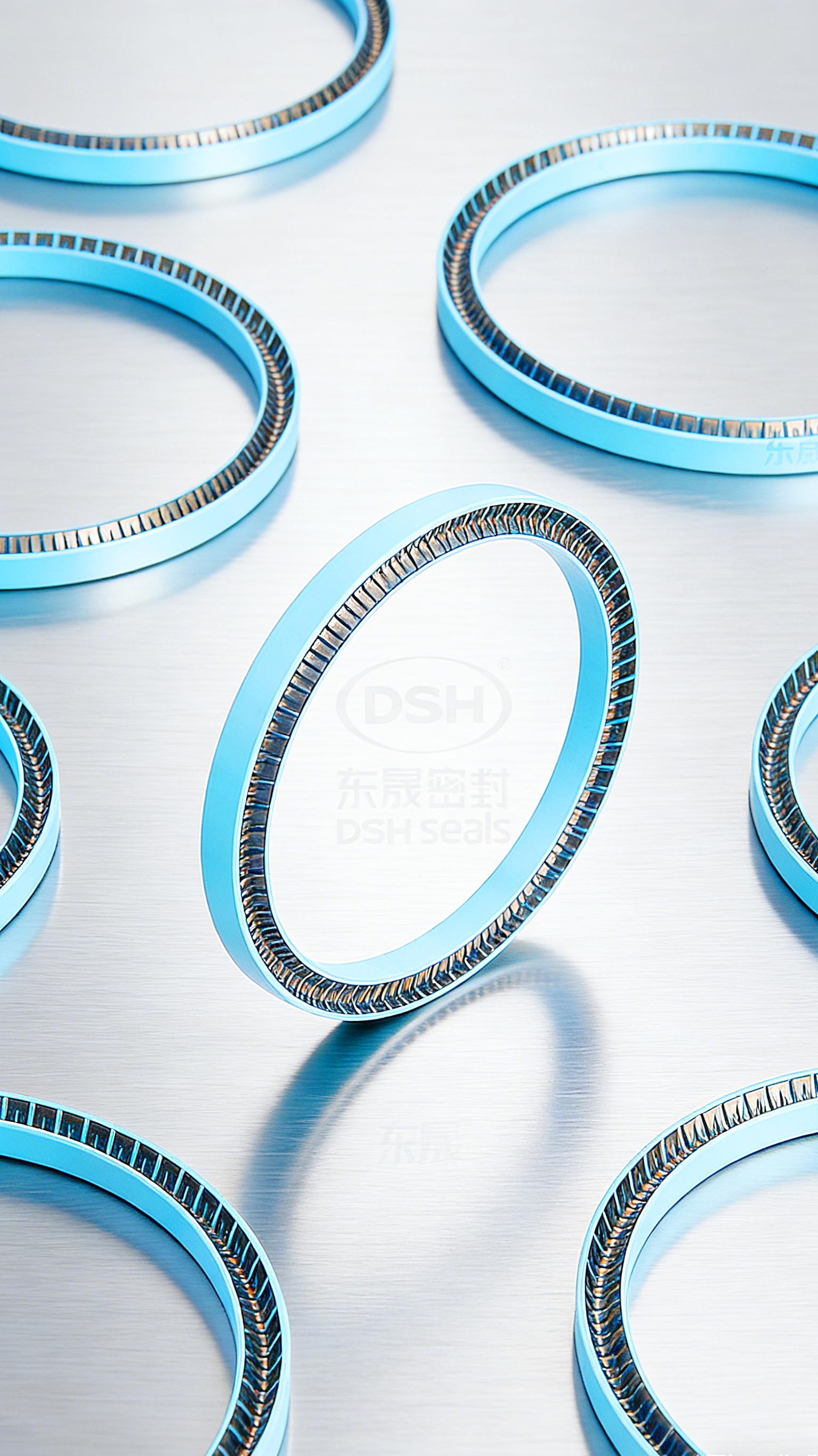 四氟泛塞封密封件2000 (4)