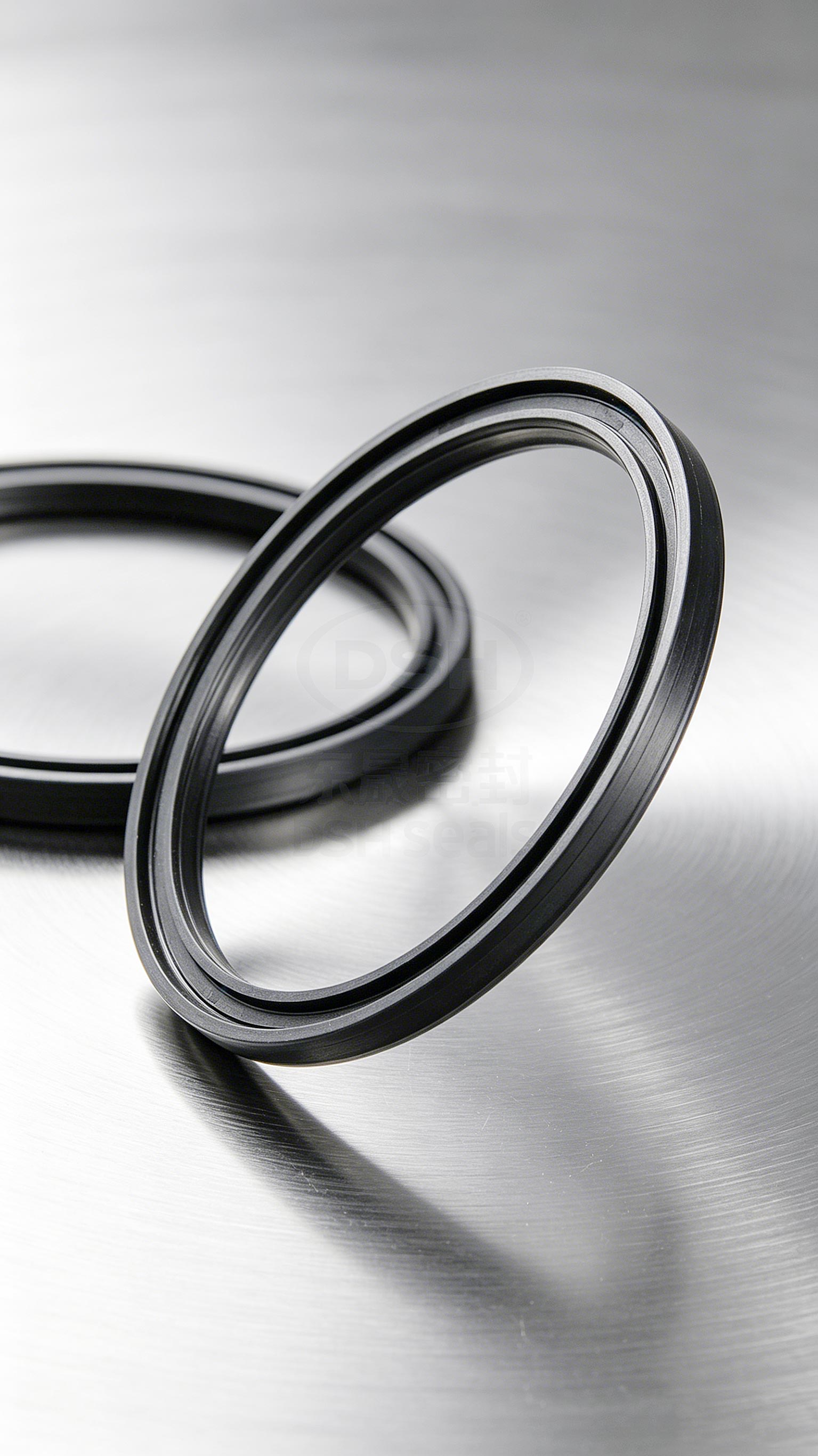 氟橡膠氣封密封件2000 (6)