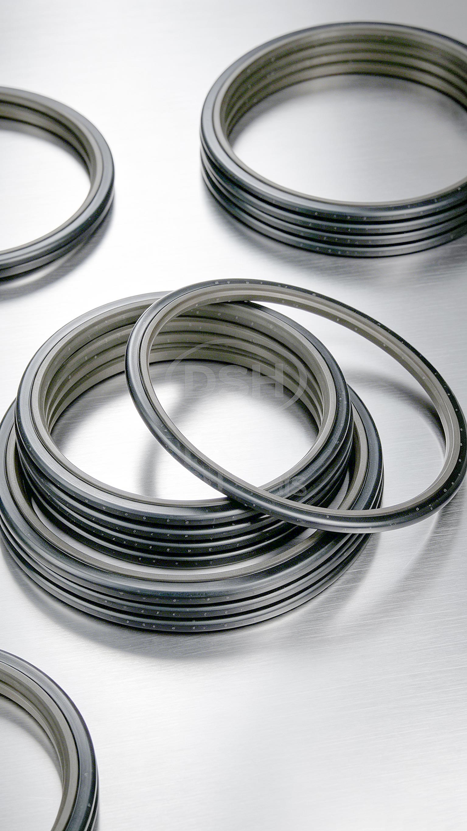 斯特封密封件2000 (3)