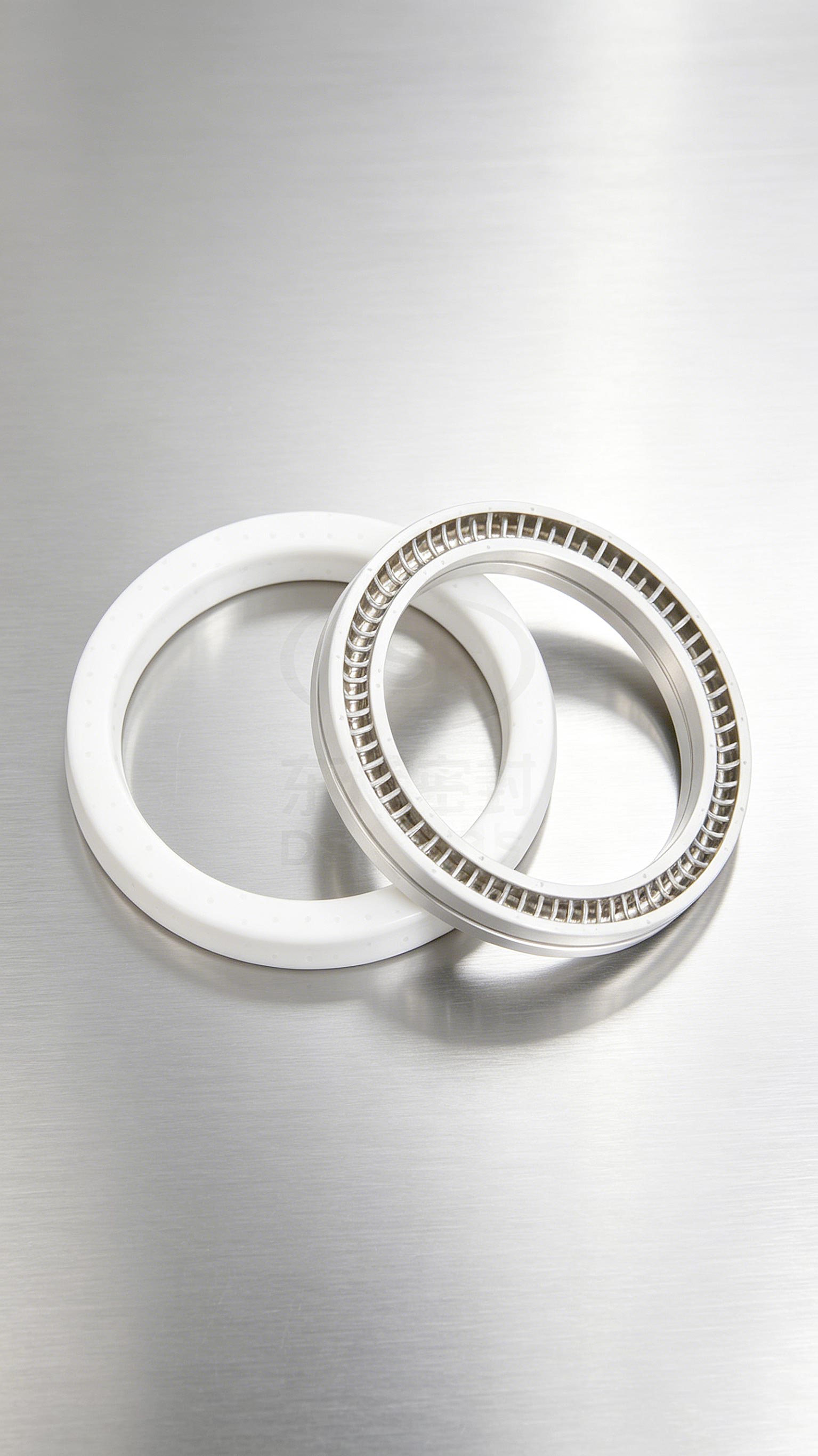 PBT塑料泛塞封密封件2000 (4)