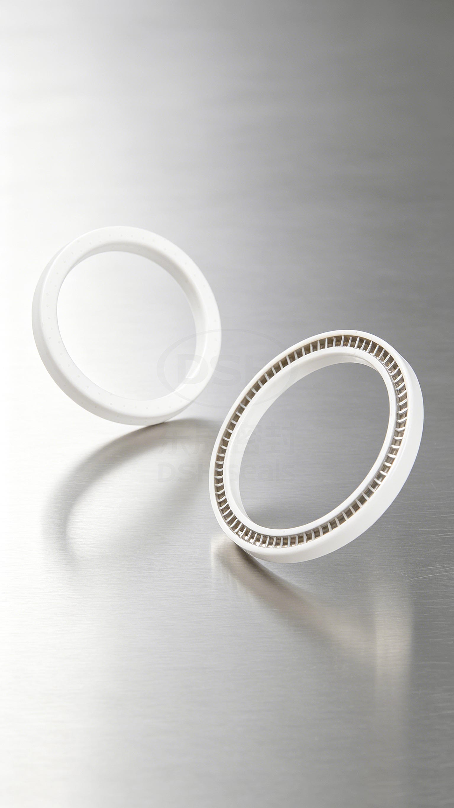 PBT塑料泛塞封密封件2000 (6)