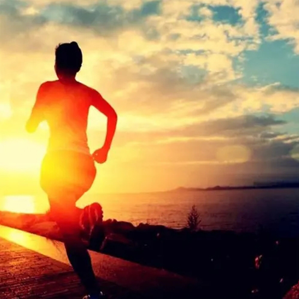 東晟密封優秀部門6S管理評比