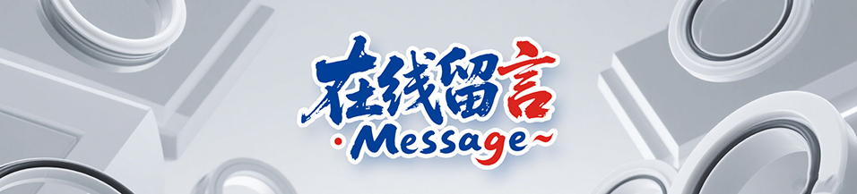 留言咨詢｜廣東東晟密封件廠家24小時(shí)響應(yīng)