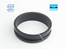 軸用帶刮唇導向環（導向套）DFAI