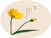 秋分時節東晟密封祝愿您收獲豐碩