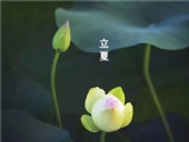 立夏已至，萬物向陽；