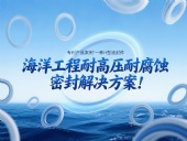專利產品案例 ? 一種H型油封件：海洋工程耐高壓耐腐蝕的密封解決方案！