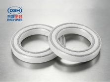 雙層彈簧泛塞封