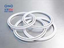 彈簧四氟密封環(huán)