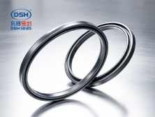 氫化丁腈橡膠氣封